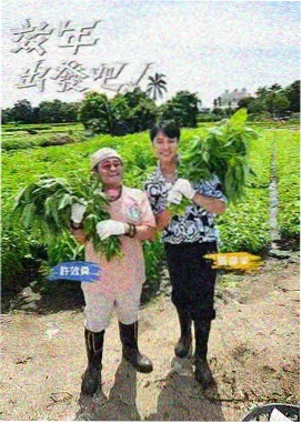 深夜厨房局 综艺节目免费看